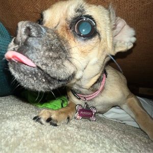 Meet your Posher, Jacob